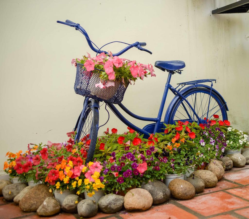 Bonjour Dalat Hostel Luaran gambar